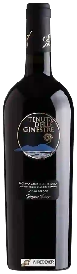 Winery Azienda Agricola Giacomo Ascione - Vigna delle Ginestre Lacryma Christi del Vesuvio Rosso