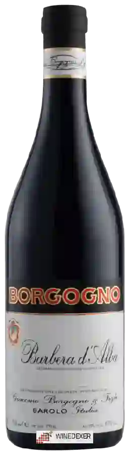 Winery Borgogno - Barbera d'Alba