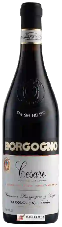Winery Borgogno - Cesare Barolo Winery Borgogno - Cesare Barolo