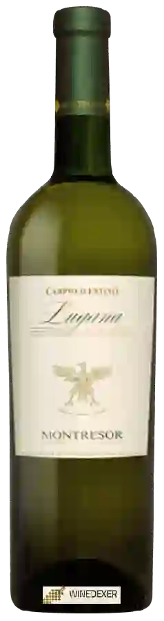 Winery Montresor - Campovalentino Lugana Winery Montresor - Campovalentino Lugana