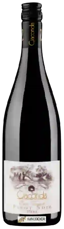 Winery Giaconda - Pinot Noir Winery Giaconda - Pinot Noir