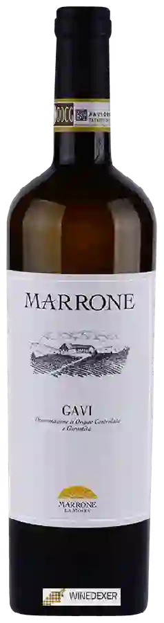 Winery Gian Piero Marrone - Gavi Winery Gian Piero Marrone - Gavi