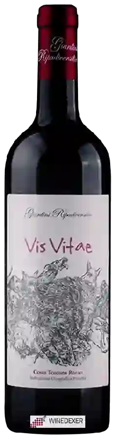 Winery Giardini Ripadiversilia - Vis Vitae Costa Toscana Rosso Winery Giardini Ripadiversilia - Vis Vitae Costa Toscana Rosso