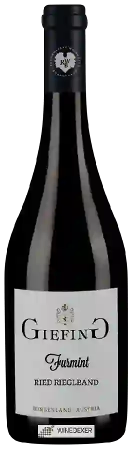 Winery Giefing - Ried Rieglband Furmint Winery Giefing - Ried Rieglband Furmint