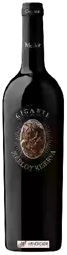 Winery Gigante - Merlot Riserva