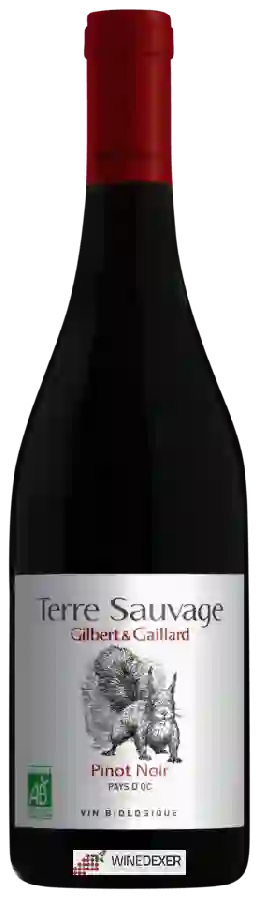 Winery Gilbert & Gaillard - Terre Sauvage Pinot Noir