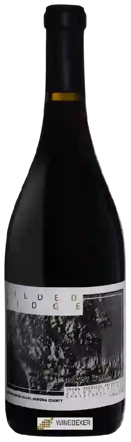 Winery Gilded Ridge - Pinot Noir Winery Gilded Ridge - Pinot Noir