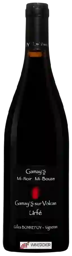 Winery Gilles Bonnefoy - Gamay's Mi-Noir Mi-Bouze