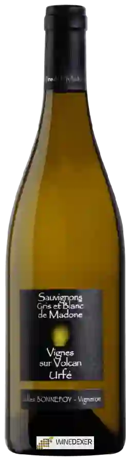 Winery Gilles Bonnefoy - Sauvígnon Grís et Blanc de Madone Vignes sur Volcan