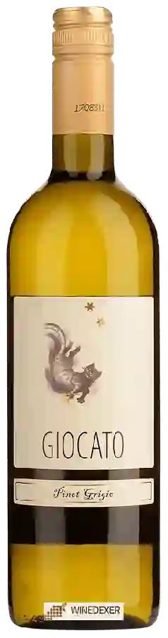 Winery Giocato - Pinot Grigio
