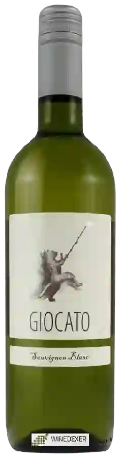 Winery Giocato - Sauvignon Blanc Winery Giocato - Sauvignon Blanc