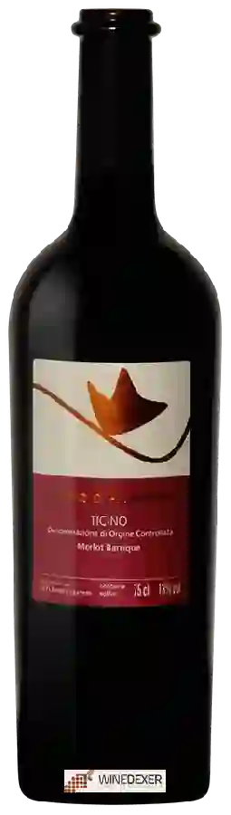 Winery Theilervini - Gioia d'Autunno Merlot Barrique Winery Theilervini - Gioia d'Autunno Merlot Barrique