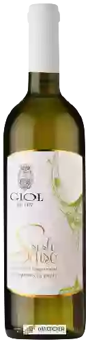 Winery Giol - Sesto Senso