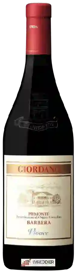 Winery Giordano - Vivace Barbera Piemonte Winery Giordano - Vivace Barbera Piemonte
