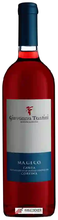 Winery Giovanna Tantini - Ma.Gi.Co. Corvina Garda Rosé Winery Giovanna Tantini - Ma.Gi.Co. Corvina Garda Rosé