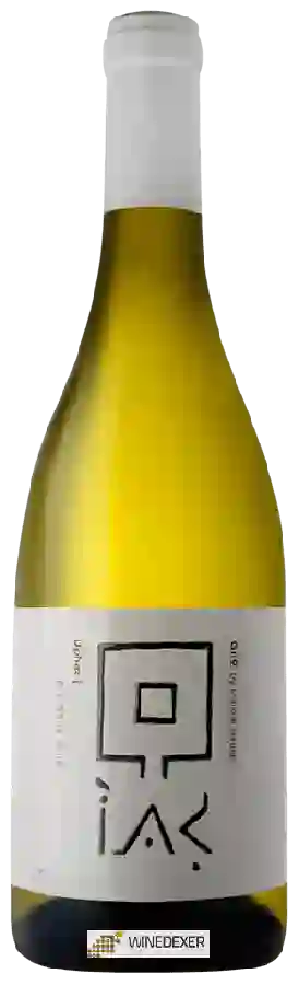 Winery Gito - Uphaz Winery Gito - Uphaz