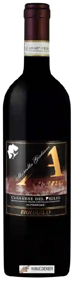 Winery Marcella Giuliani - Alagna Cesanese del Piglio Superiore Winery Marcella Giuliani - Alagna Cesanese del Piglio Superiore