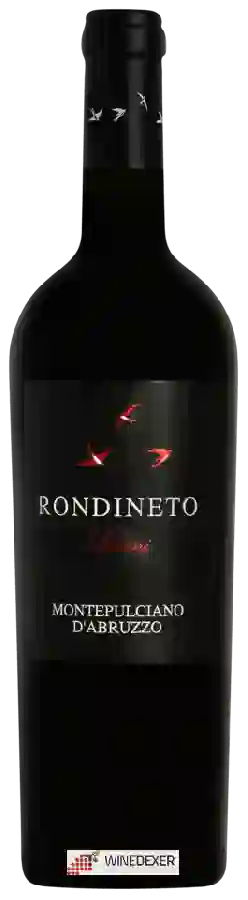 Winery Giuseppe Savini - Rondineto Montepulciano d'Abruzzo