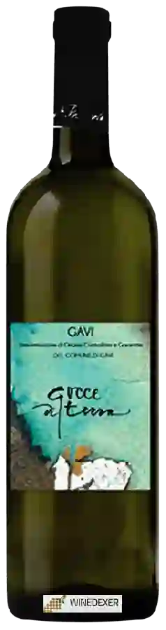 Winery Gocce di Terra - Gavi