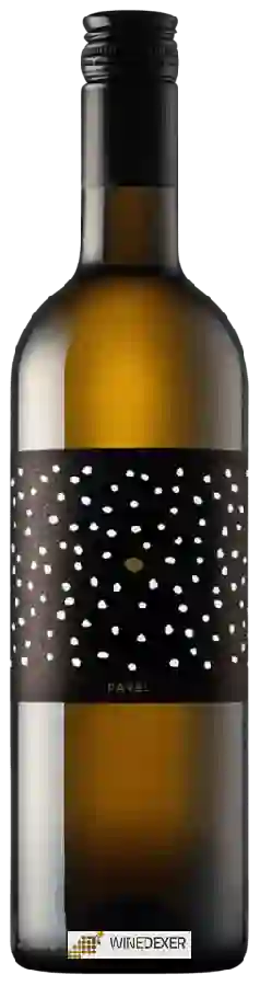 Gönc Winery - Pavel