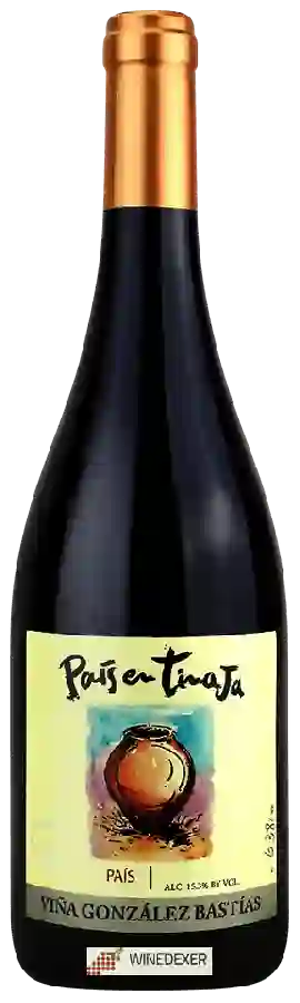 Winery Viña González Bastías - Pa&iacutes en Tinaja