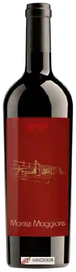 Winery Gorgo - Podere Monte Maggiore Bardolino Superiore