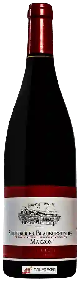 Weingut Gottardi - Südtiroler Blauburgunder Mazzon