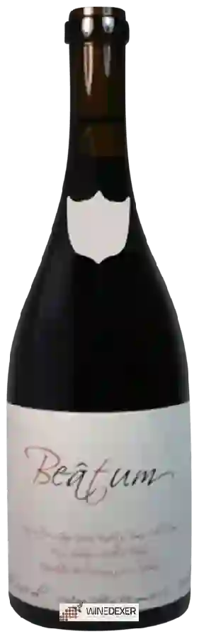 Winery Goyo Garcia Viadero - Cobero Rouge