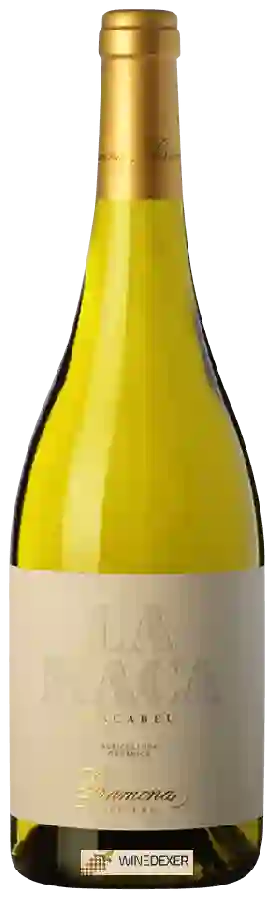 Winery Gramona - La Maca Macabeu Winery Gramona - La Maca Macabeu