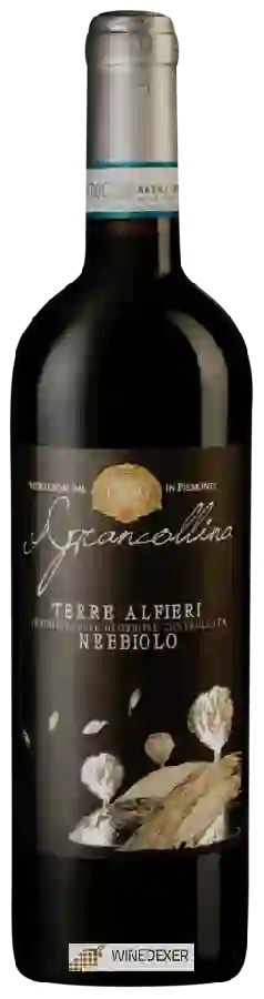 Winery Grancollina - Terre Alfieri Nebbiolo