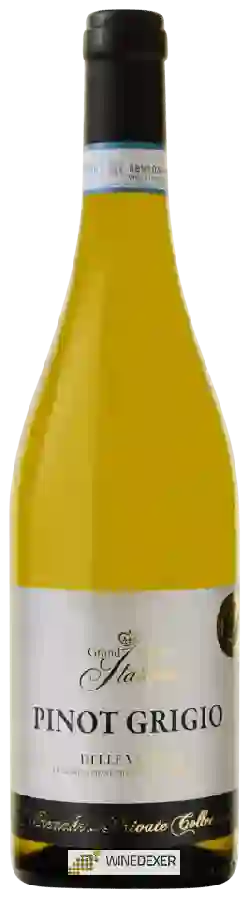 Winery Grand Maestro Italiano - Winemakers Private Collection Pinot Grigio Winery Grand Maestro Italiano - Winemakers Private Collection Pinot Grigio