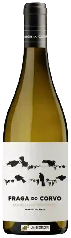 Winery Grandes Pagos Gallegos - Fraga do Corvo Godello