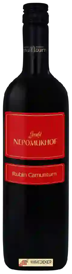 Winery Grassl Nepomukhof - Rubin Carnuntum