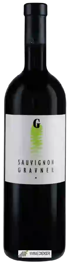 Winery Gravner - Sauvignon Winery Gravner - Sauvignon