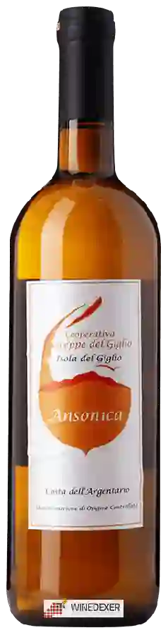 Winery Greppe del Giglio - Ansonica Costa dell'Argentario Winery Greppe del Giglio - Ansonica Costa dell'Argentario