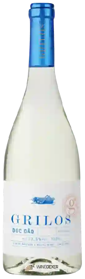 Winery Grilos - Dão Branco