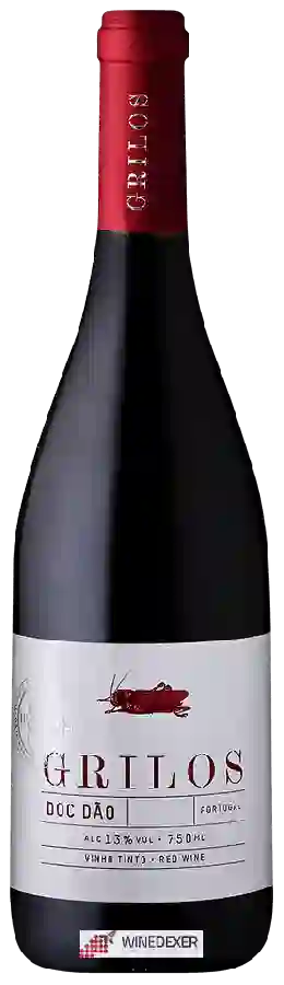 Winery Grilos - Dão Tinto Winery Grilos - Dão Tinto