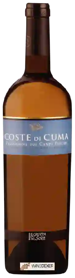 Winery Grotta del Sole - Coste di Cuma Falanghina dei Campi Flegrei Winery Grotta del Sole - Coste di Cuma Falanghina dei Campi Flegrei