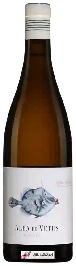 Winery Vetus - Alba de Vetus Albariño Winery Vetus - Alba de Vetus Albariño