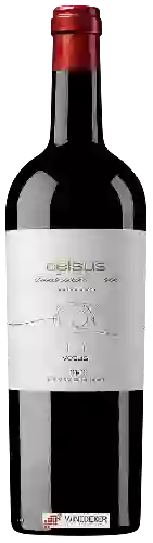 Winery Vetus - Celsus
