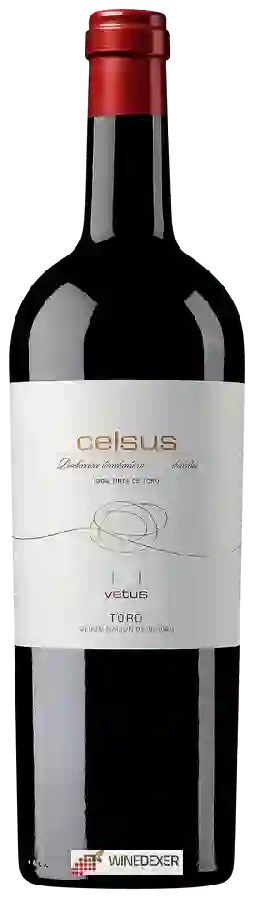 Winery Vetus - Celsus