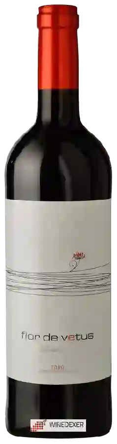 Winery Vetus - Flor de Vetus