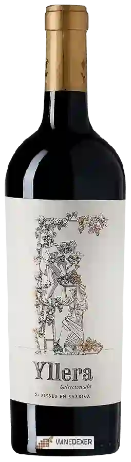 Winery Yllera - Vendimia Seleccionada