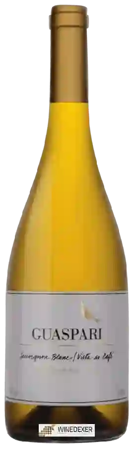 Winery Guaspari - Sauvignon Blanc Vista do Cafe