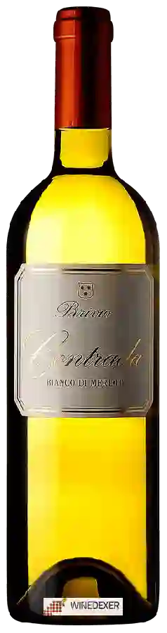 Winery Guido Brivio - Contrada Bianco