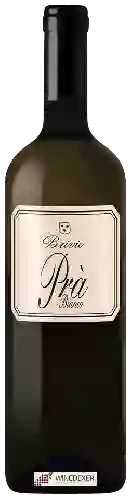 Winery Guido Brivio - Prà Bianco