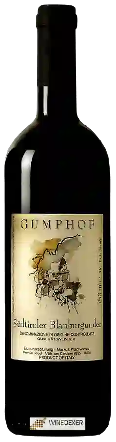 Winery Markus Prackwieser Gump Hof - Südtiroler Blauburgunder Winery Markus Prackwieser Gump Hof - Südtiroler Blauburgunder