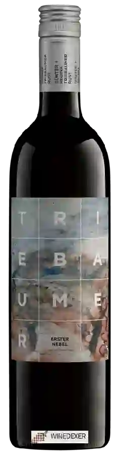 Winery Gunter & Regina Triebaumer - Erster Nebel