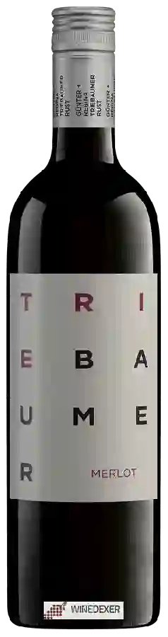 Winery Gunter & Regina Triebaumer - Merlot