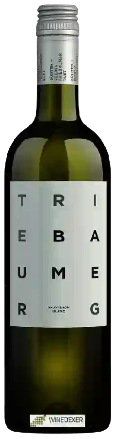 Winery Gunter & Regina Triebaumer - Sauvignon Blanc